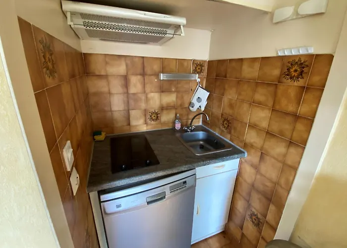 アパート 4 Pers, Vue Mer, Avec Parking - Fr-1-837-87 *